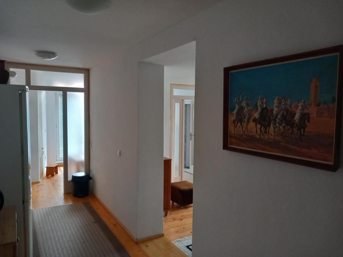 Apartments Hrvatin No 5 SJJ Extérieur photo